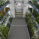 Image for article titled Astronauts Will Eat Space Lettuce for the First Time Next Week